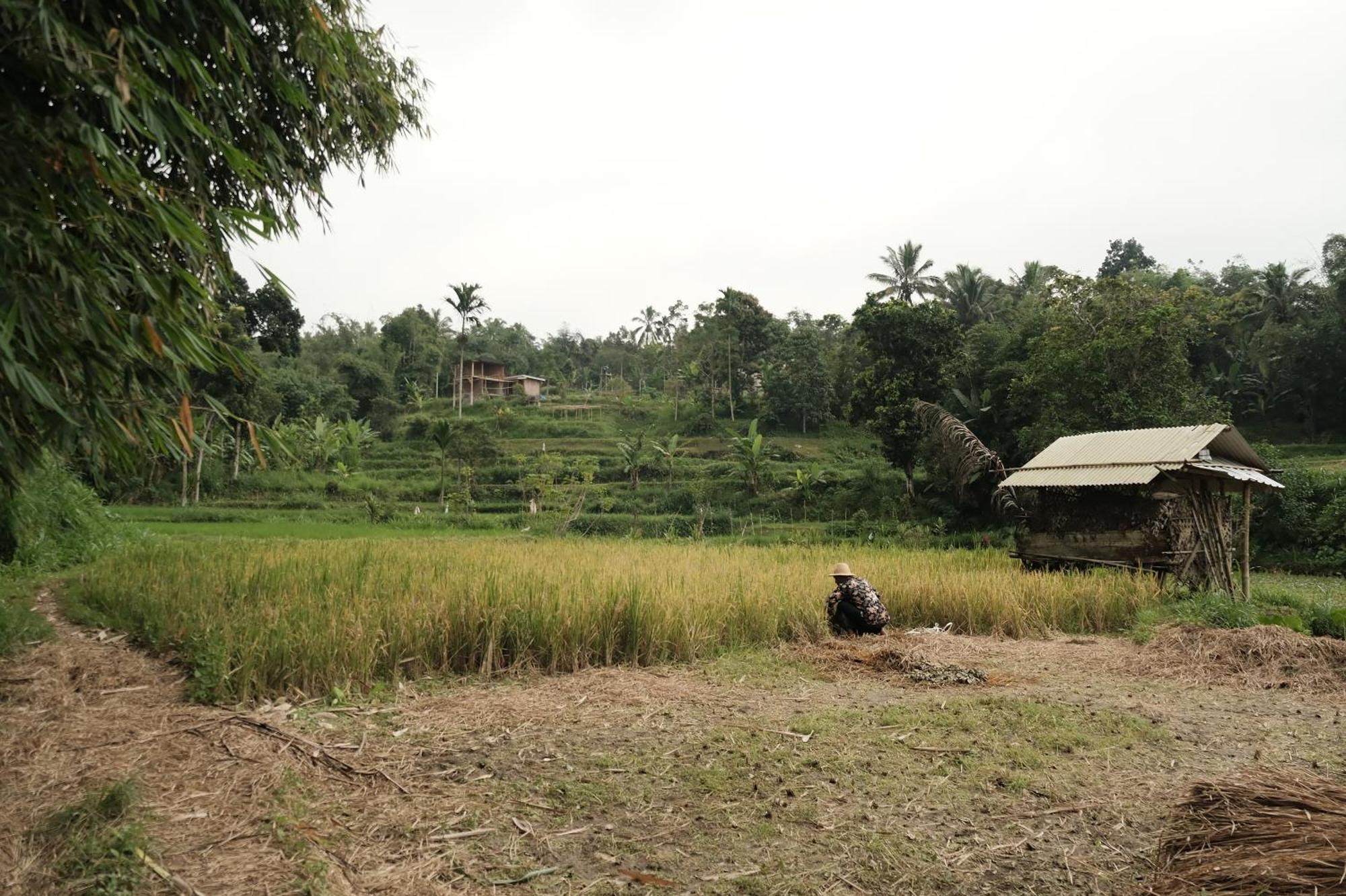 فندق Alora House Lombok Tete Batu تيتيباتو المظهر الخارجي الصورة