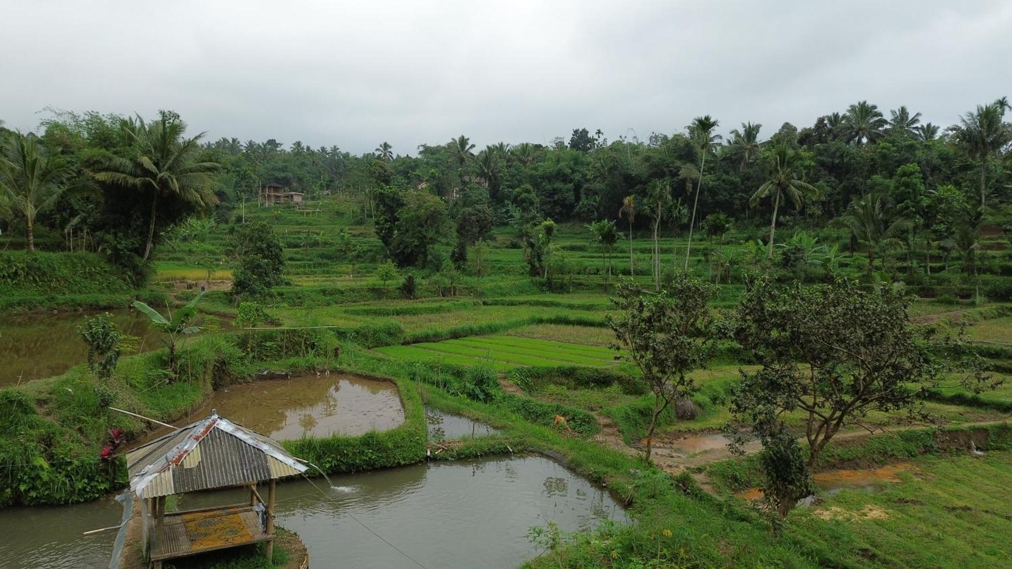 فندق Alora House Lombok Tete Batu تيتيباتو المظهر الخارجي الصورة